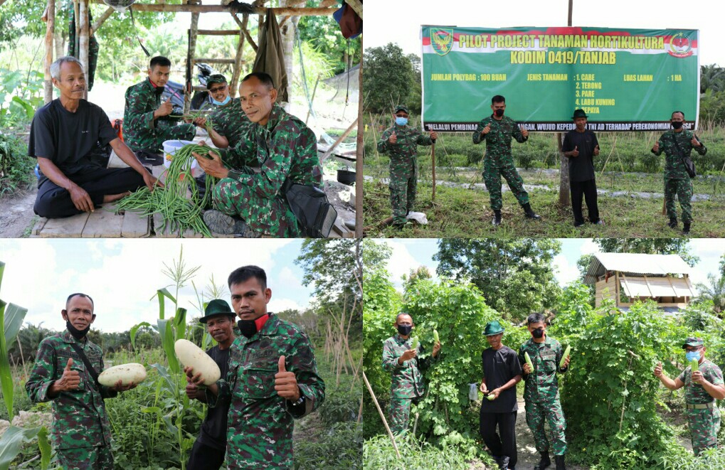 1 Hektar Lahan Jadi Pilot Project Program Tanaman Holtikultura Kodim Tanjab