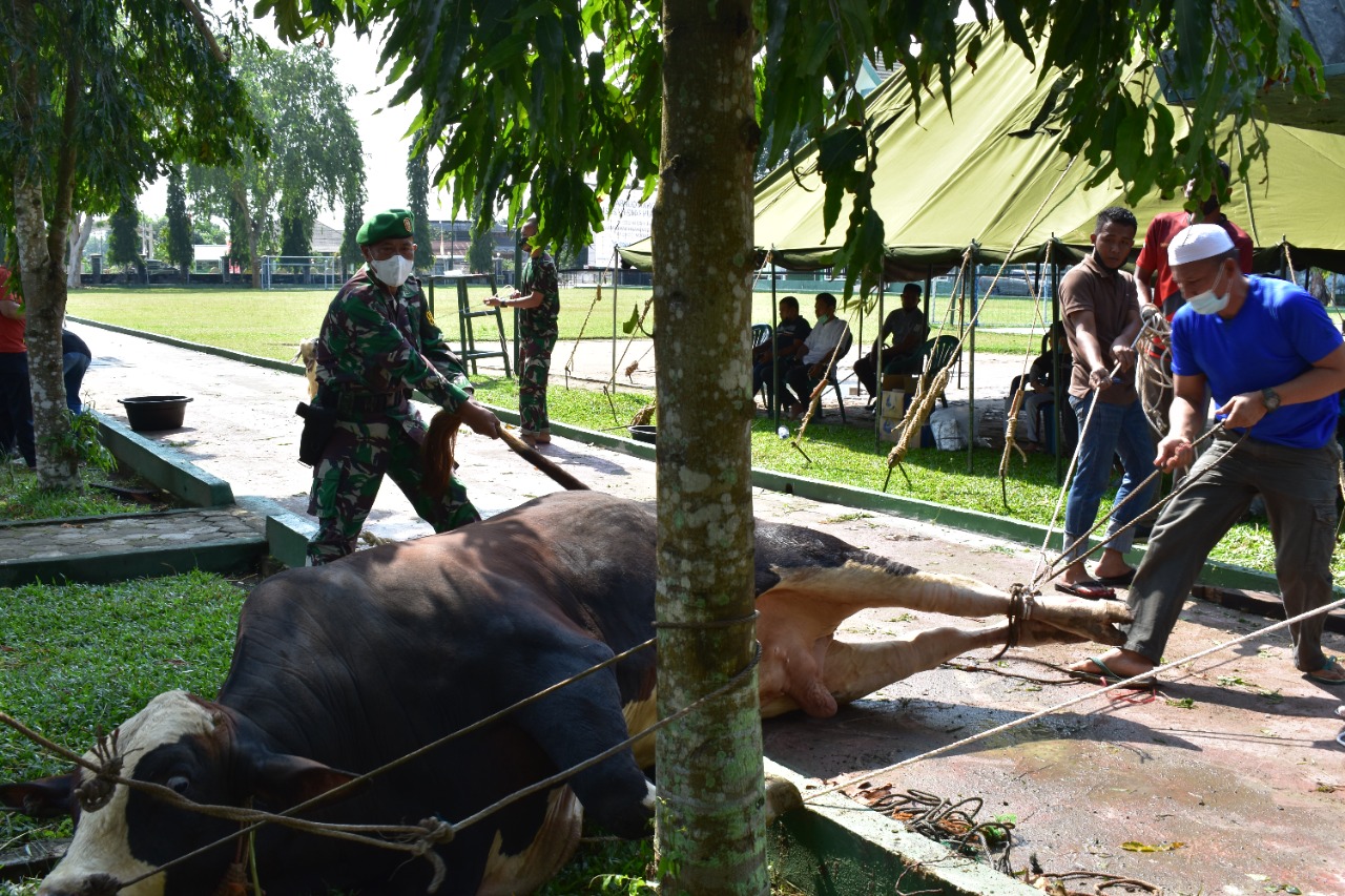 Korem 042/Gapu Laksanakan Penyembelihan Hewan Qurban